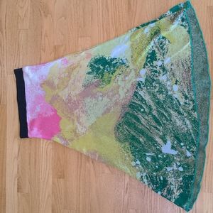 Anthropologie A-line skirt